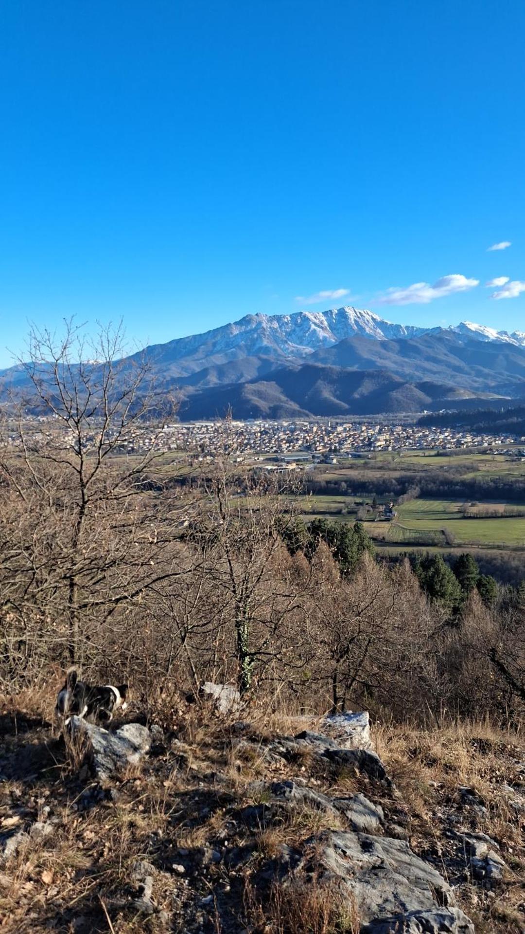 Hotel La Primula Borgo San Dalmazzo Exteriér fotografie